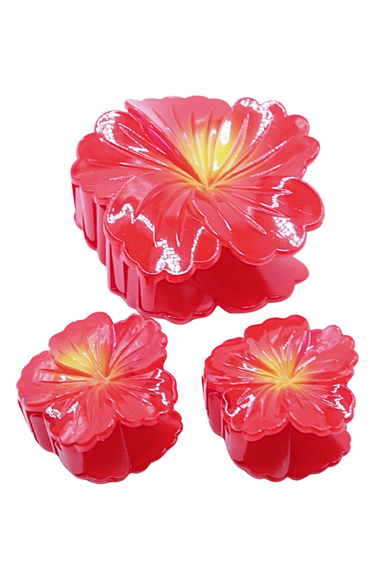 HIBISCUS CLAW CLIP SET