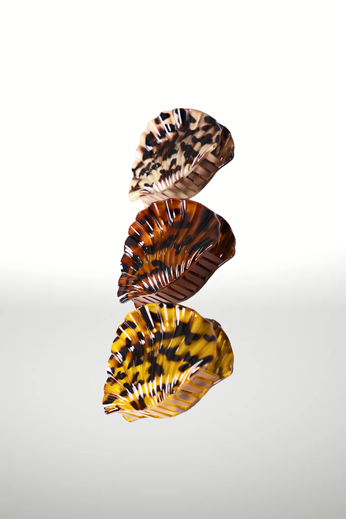 SEASHELL CLAW SET