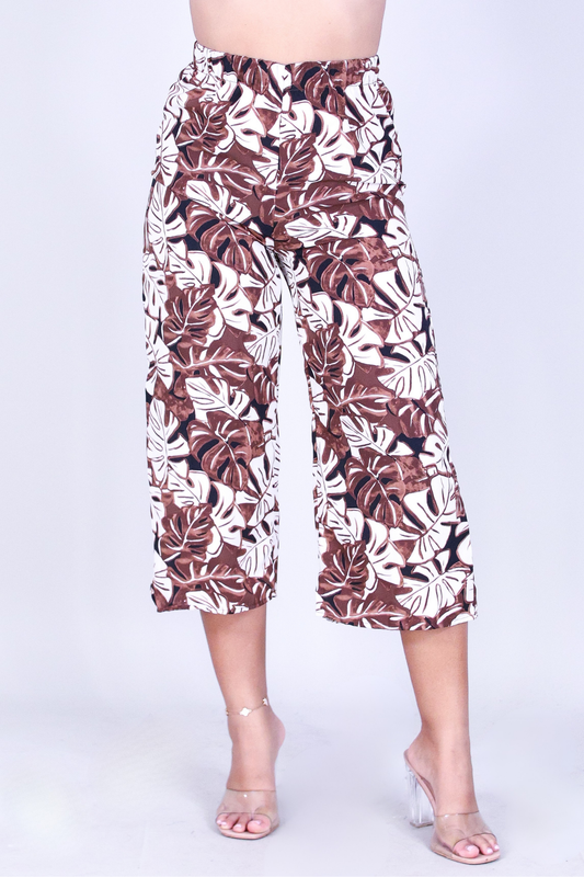 MONSTERA MUSE CAPRI'S