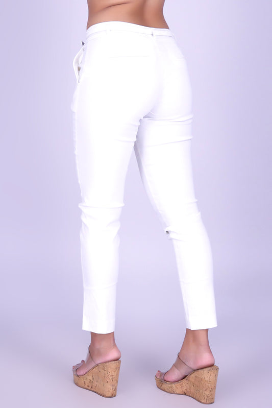 PRETTY PROFESSIONAL DRESSY PANTS