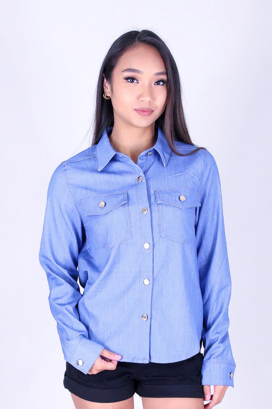 ROGUE BLUE BUTTON DOWN TOP