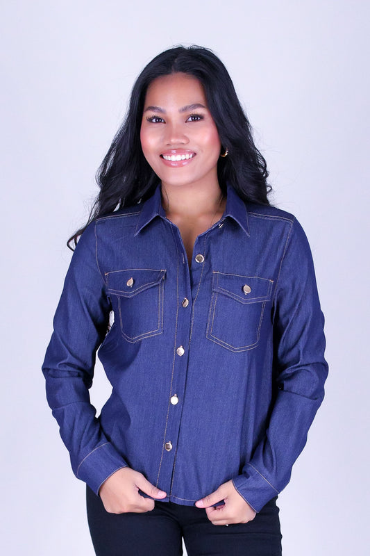 ROGUE BLUE BUTTON DOWN TOP