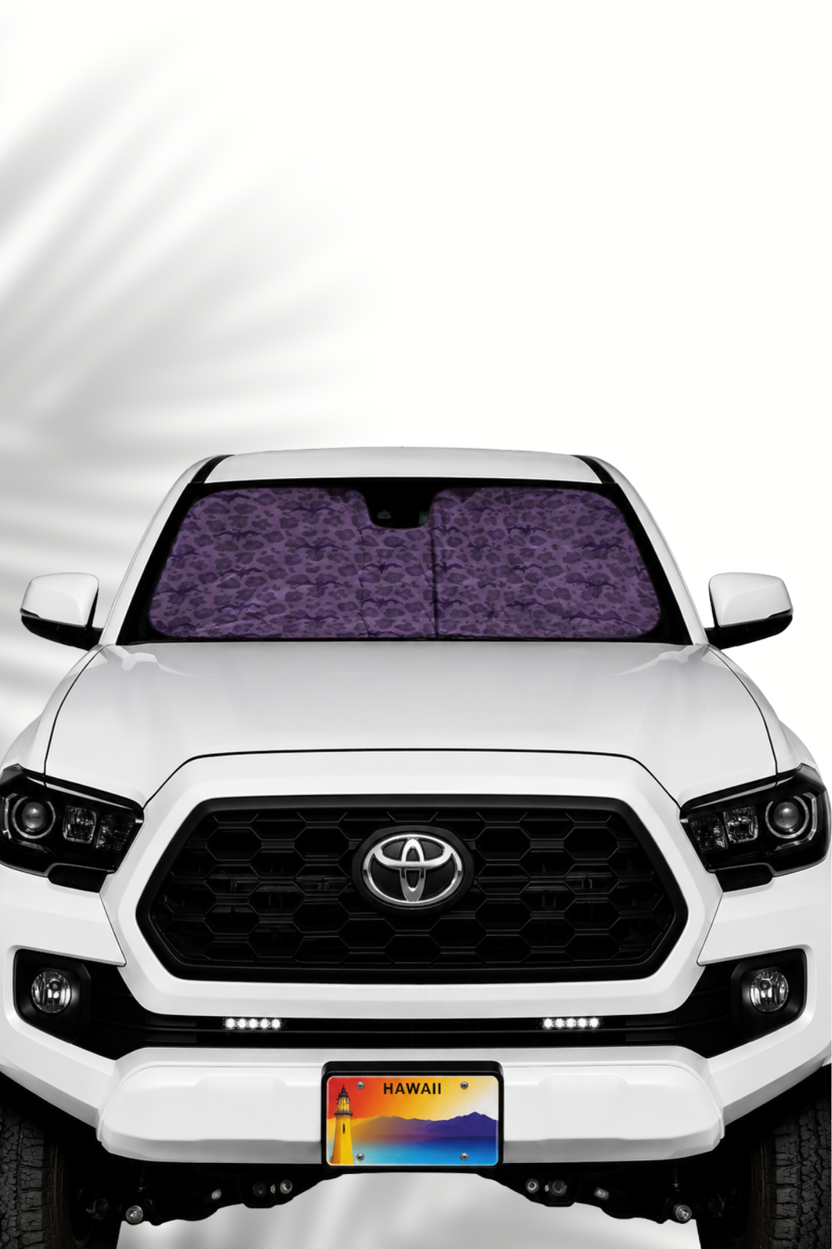 WILD IWA SUNSHADE | LARGE