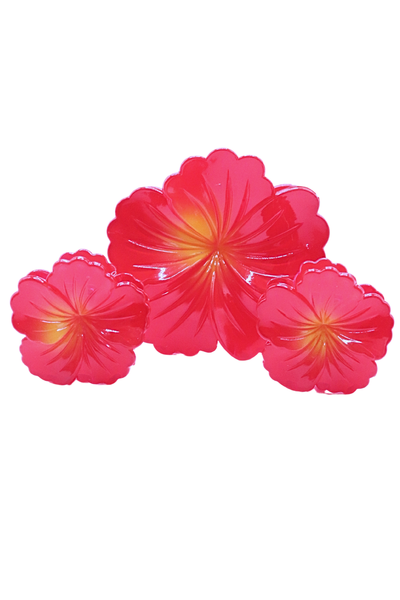 HIBISCUS CLAW CLIP SET