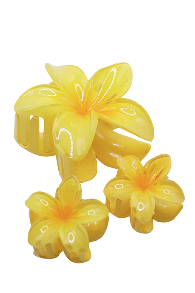 PLUMERIA CLAW CLIP SET (3PC)