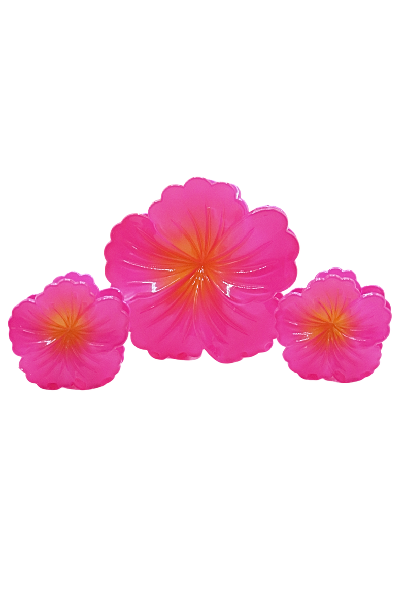 HIBISCUS CLAW CLIP SET