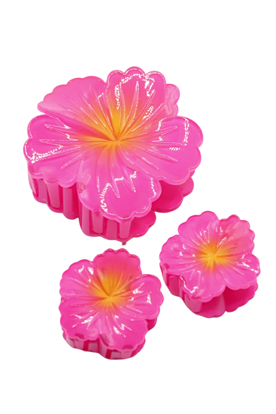 HIBISCUS CLAW CLIP SET