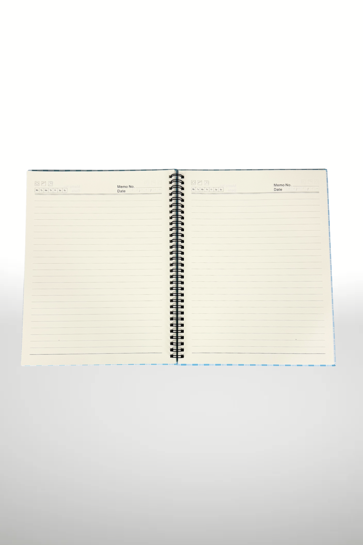 PALAKA NOTEBOOK