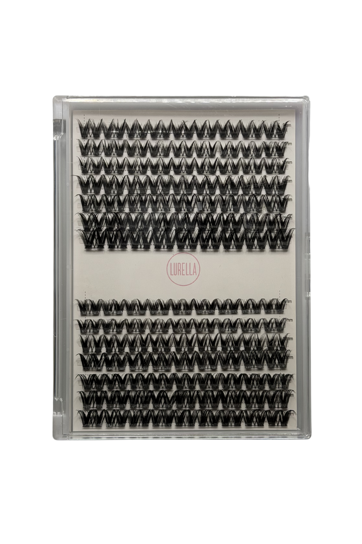 DIY LASH KIT - REGAL