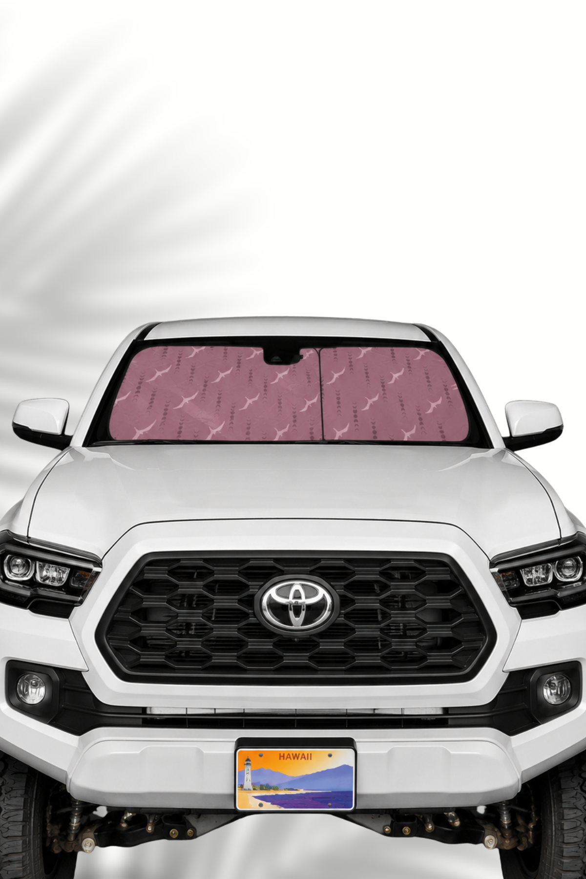 IWA MOON SUNSHADE | LARGE