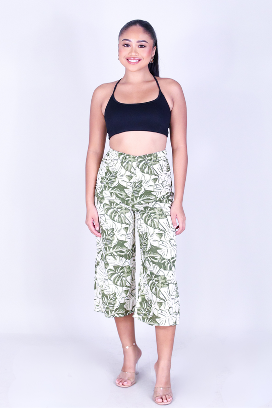MONSTERA MUSE CAPRI'S