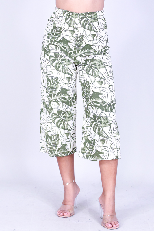 MONSTERA MUSE CAPRI'S