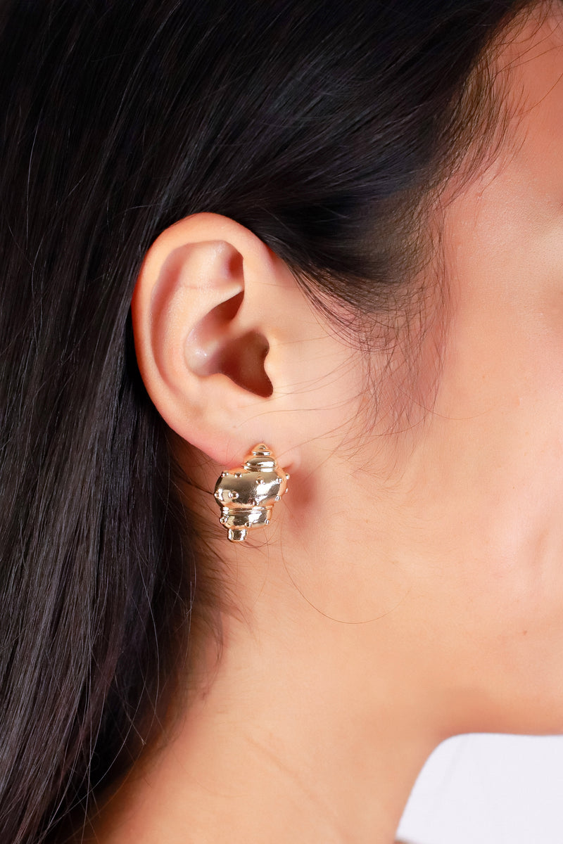 Jeans Warehouse Hawaii - STUDS - SEA SHELL STUDS | By FAME ACCESSORIES