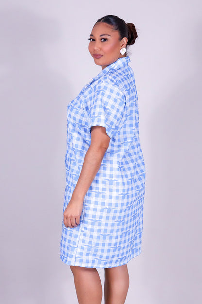 IWA PALAKA BUTTON DOWN DRESS