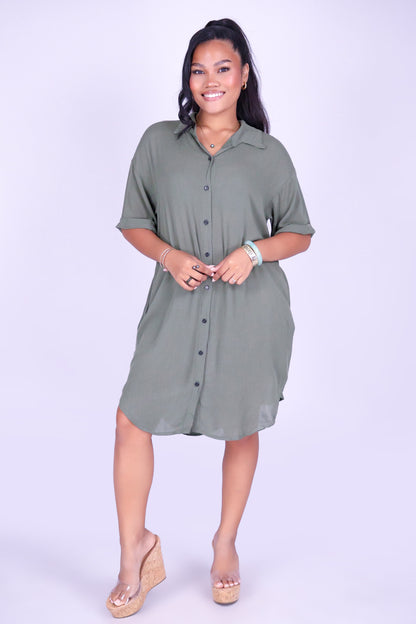 THE ONE YOU KEEP BUTTON DOWN DRESS