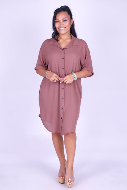 THE ONE YOU KEEP BUTTON DOWN DRESS