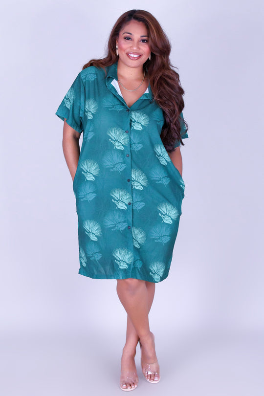 OHIA BUTTON DOWN DRESS